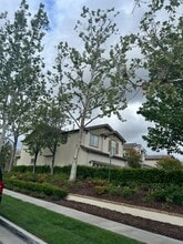 24098 Stone Creek Dr in Santa Clarita, CA - Building Photo - Building Photo