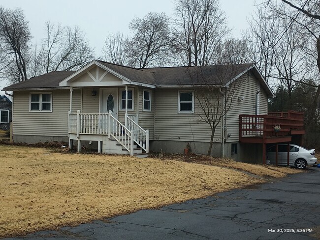property at 49 Plumtree Rd