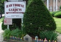 Hawthorne Garden photo'