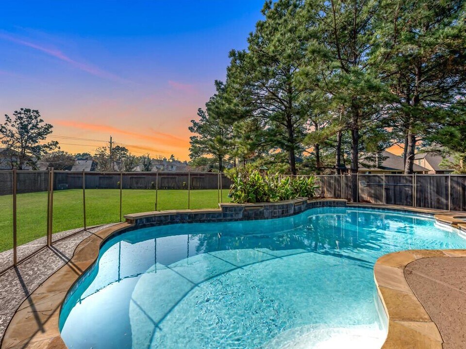 95 Sagamore Ridge Pl in Spring, TX - Foto de edificio