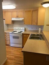 336 N Grant St in Denver, CO - Building Photo - Building Photo