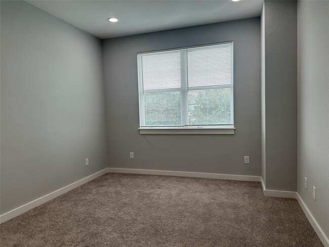 11319 Carla St