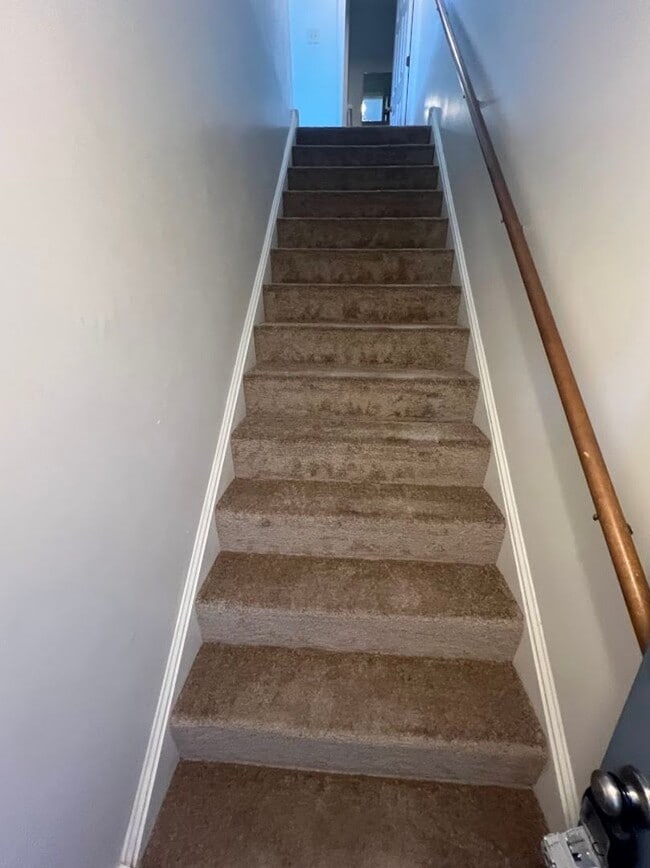 404 Peters Way in Wyomissing, PA - Building Photo - Building Photo