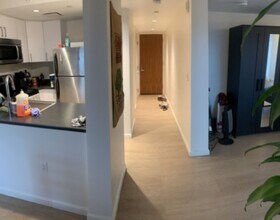 295 Harvard St in Cambridge, MA - Building Photo - Building Photo