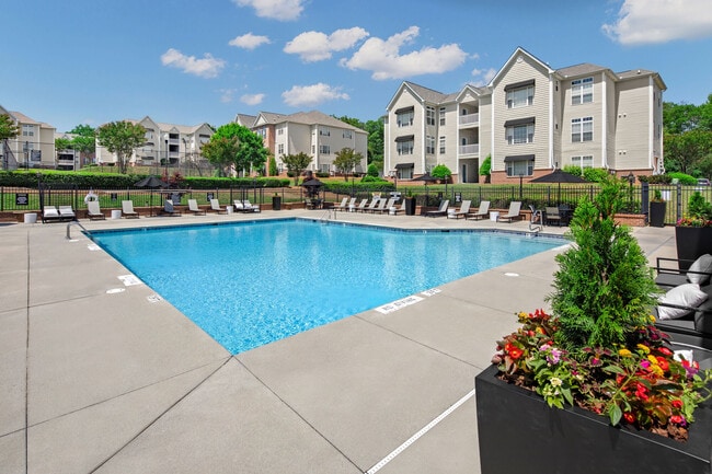 The Bellamy in Charlotte, NC - Foto de edificio - Building Photo