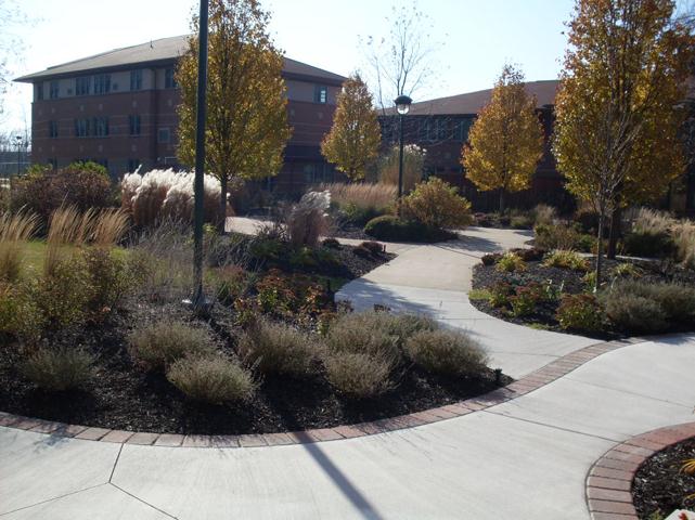 Riverview Towers and Riverview Terrace in Wausau, WI - Building Photo