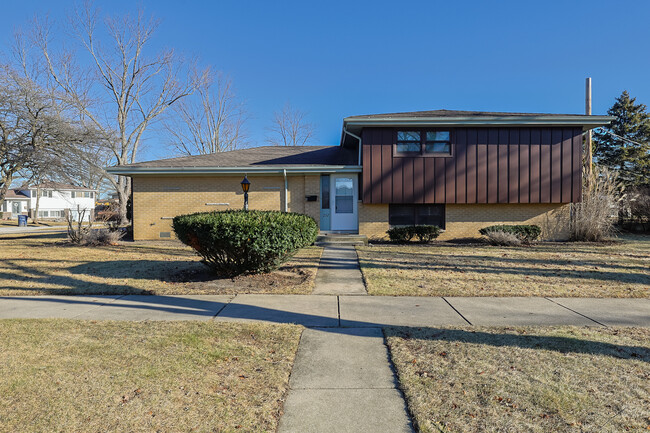 232 W Bradley St in Des Plaines, IL - Foto de edificio - Building Photo