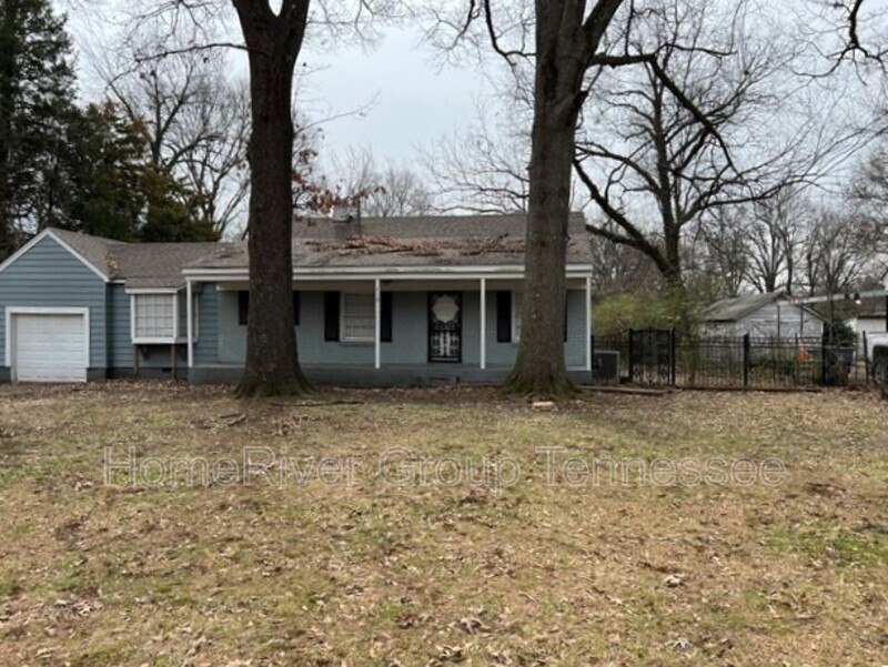 719 Lydgate Rd in Memphis, TN - Building Photo