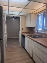 13720 N 98th Ave in Sun City, AZ - Building Photo