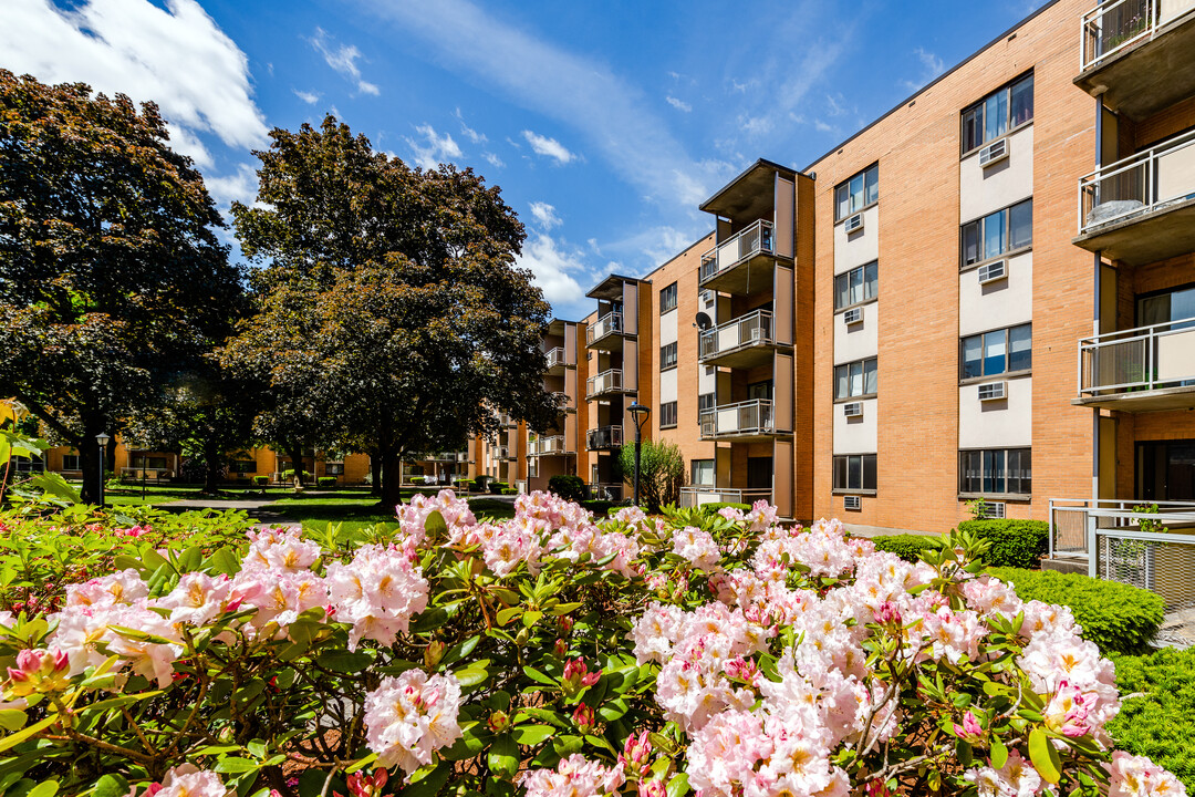 Morton Village in Mattapan, MA - Building Photo