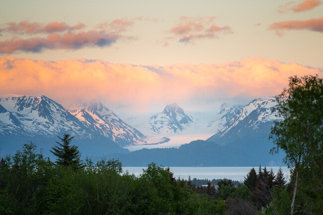 833 Linstrang Wy in Homer, AK - Building Photo - Building Photo