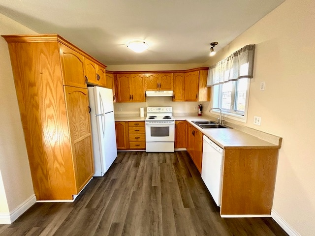 7 Withers Pl in St John's, NL - Building Photo - Building Photo