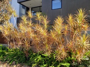 424 S Venice Blvd, Unit 1 in Los Angeles, CA - Building Photo - Building Photo