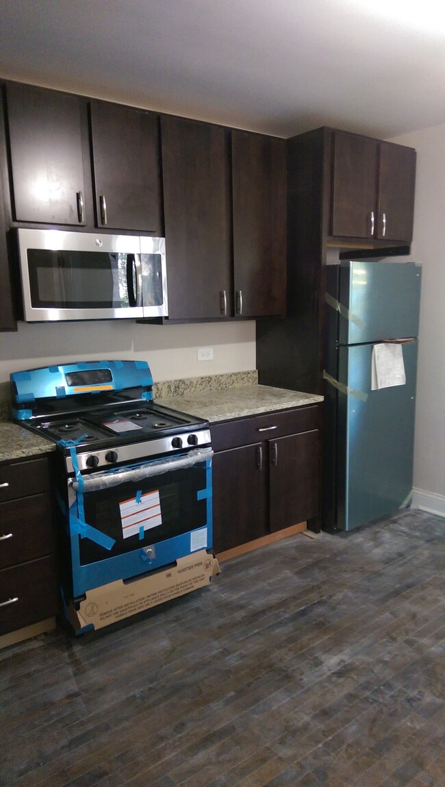4849 N Seeley Ave, Unit 1 in Chicago, IL - Building Photo - Building Photo