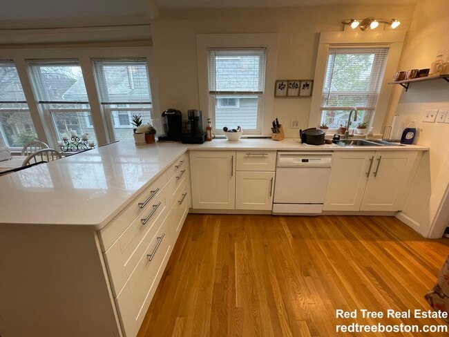 30 Harris St in Brookline, MA - Building Photo - Building Photo