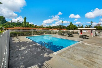24762 Via San Marco in Aliso Viejo, CA - Building Photo - Building Photo