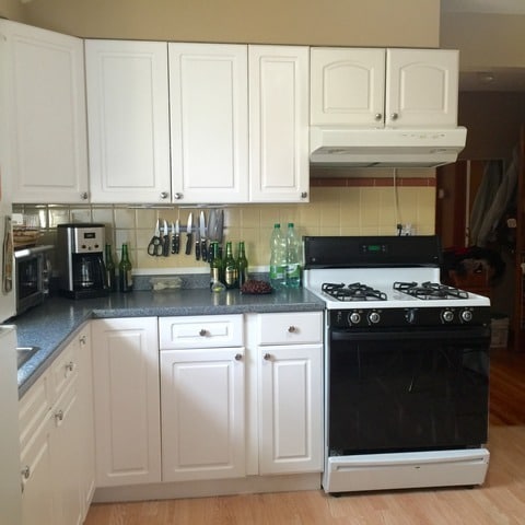 5042 N Mango Ave, Unit 2 in Chicago, IL - Foto de edificio - Building Photo