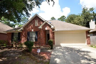18 Steep Trail Pl in Conroe, TX - Building Photo