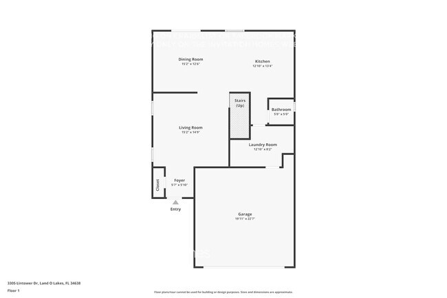 3305 Lintower Dr in Land O Lakes, FL - Building Photo - Building Photo