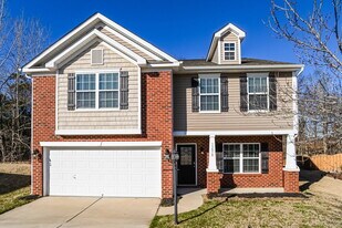 13818 Harvey Walker Ln in Charlotte, NC - Building Photo
