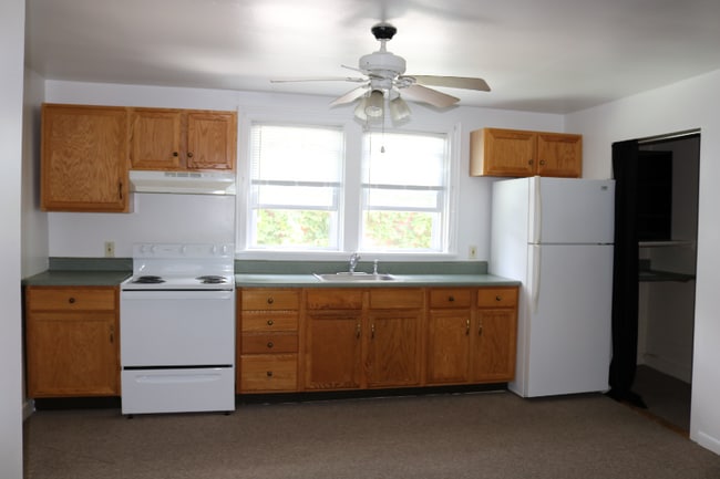 239 Elm St in Albany, NY - Building Photo - Building Photo