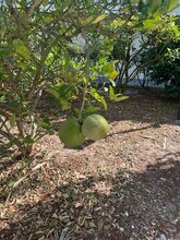 2302 Sunrise Blvd in Fort Pierce, FL - Building Photo - Building Photo