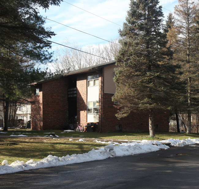 15 Backman Ave in Ellenville, NY - Building Photo - Building Photo