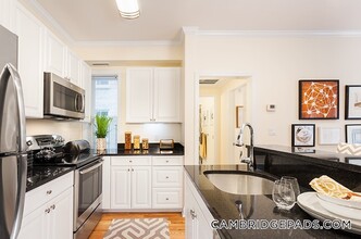 3 Chauncy St in Cambridge, MA - Building Photo - Building Photo