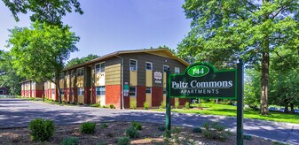 Paltz Commons in New Paltz, NY - Building Photo