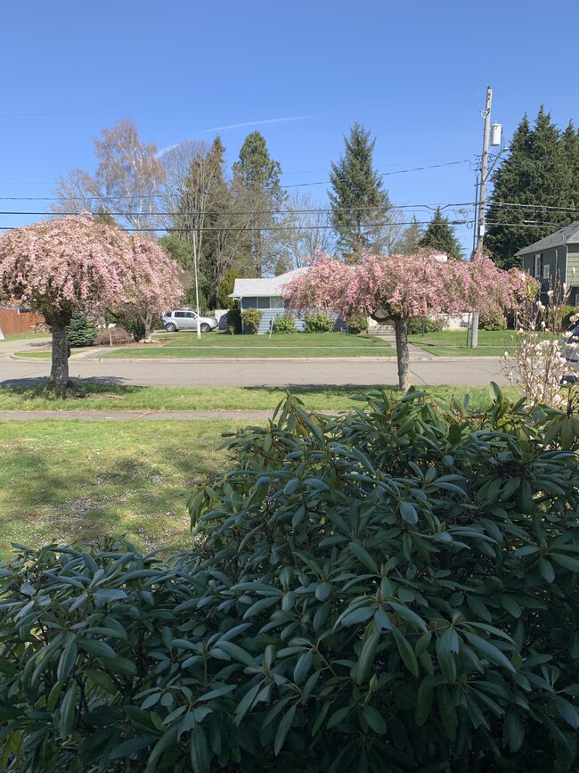 4822 N 14th St in Tacoma, WA - Foto de edificio - Building Photo