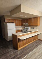 204 W State St in Harrisburg, IL - Building Photo