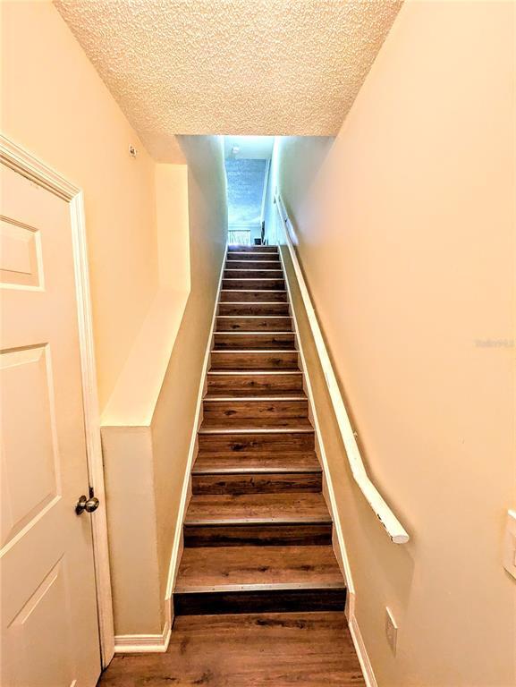 5711 Bentgrass Dr in Sarasota, FL - Building Photo - Building Photo