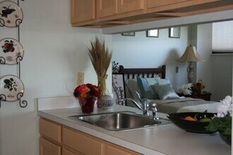 507 Mesquite St in Menard, TX - Foto de edificio - Building Photo