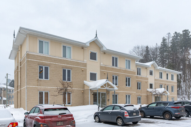 462 Saint-Jacques St in Lévis, QC - Building Photo - Building Photo