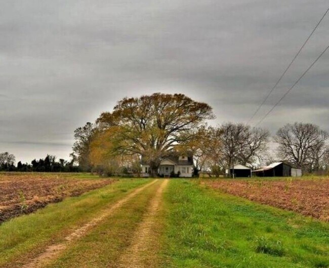 2223 Co Rd 107 in Wharton, TX - Building Photo - Building Photo