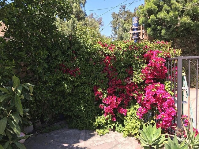 11145 Landale St in Los Angeles, CA - Building Photo - Building Photo