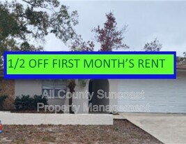 2606 Country Grove Blvd in Palm Harbor, FL - Building Photo