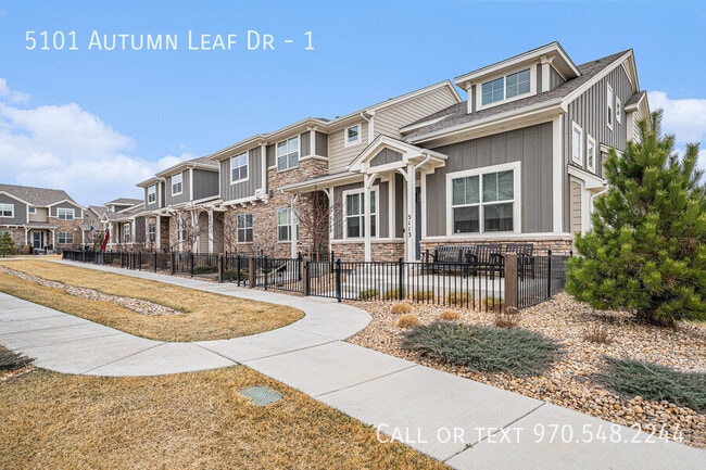 5101 Autumn Leaf Dr in Timnath, CO - Building Photo - Building Photo