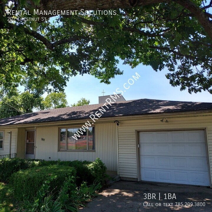 207 Chestnut St in Silver Lake, KS - Building Photo