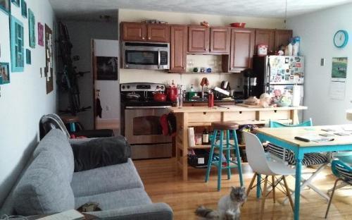 property at 217 Holland St