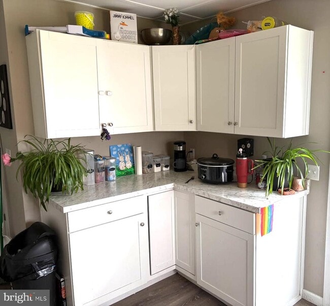 28419 Old Quantico Rd in Salisbury, MD - Building Photo - Building Photo