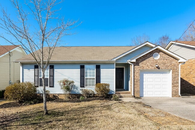 property at 823 Neelys Chase Dr