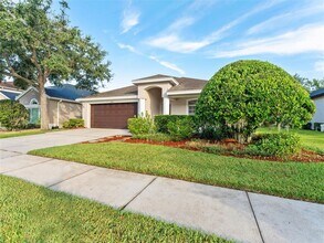 4205 Knollpoint Dr in Wesley Chapel, FL - Building Photo - Building Photo
