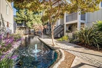 Round Hill Creek Apartments in Fairfield, CA - Building Photo - Building Photo