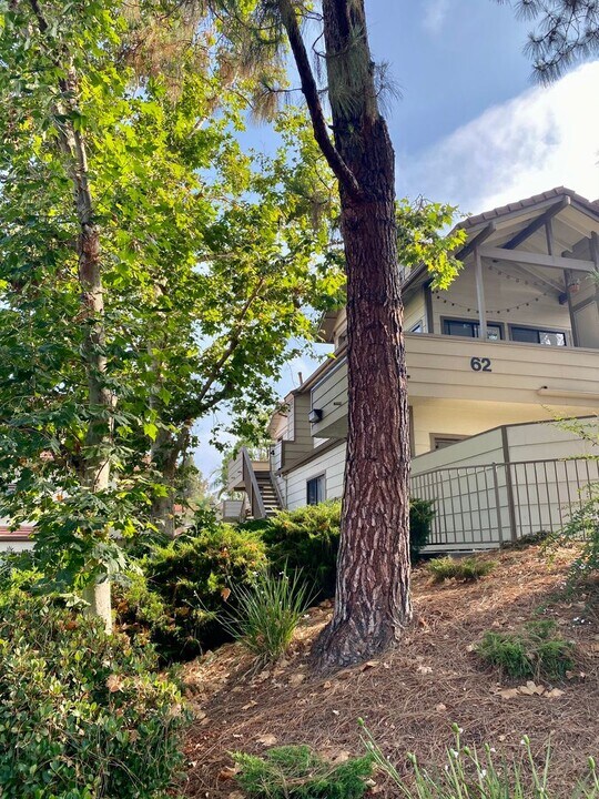 62 Maegan Pl in Thousand Oaks, CA - Building Photo