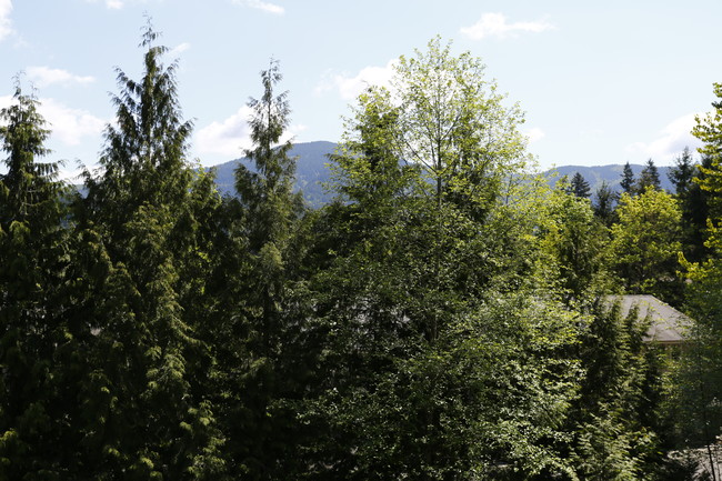 Vista Ridge in Issaquah, WA - Foto de edificio - Building Photo