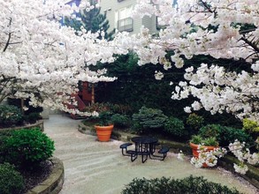 Promenade at the Park Apartment Homes in Seattle, WA - Foto de edificio - Building Photo