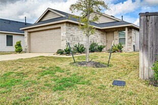 24110 Wandering Brk Dr in Hockley, TX - Building Photo