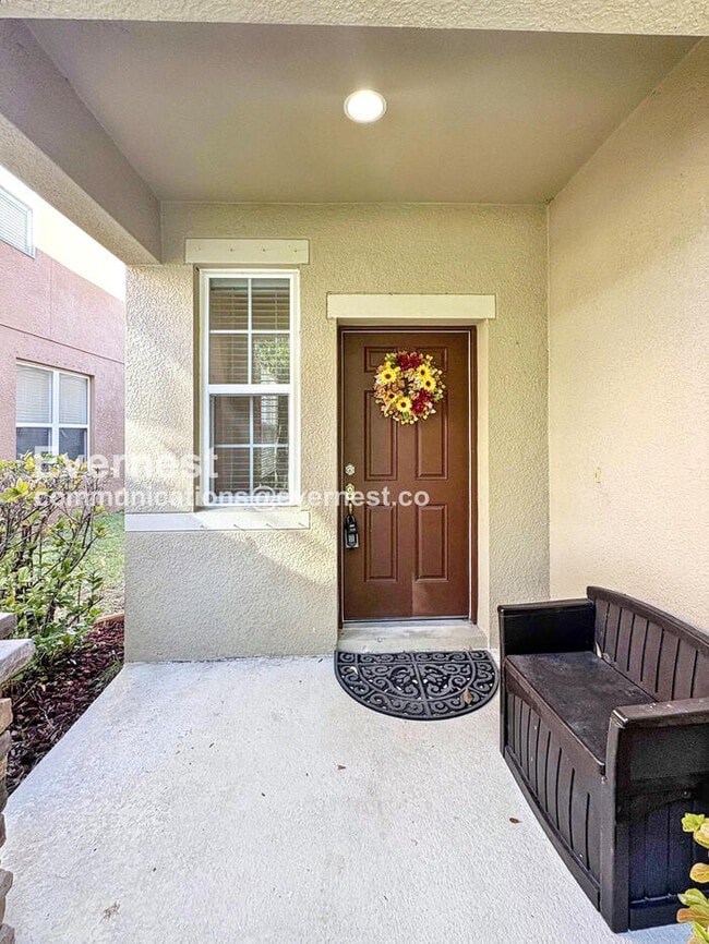 10126 Celtic Ash Dr in Ruskin, FL - Building Photo - Building Photo