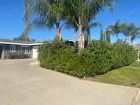 12109 Deerwood Ln in Moreno Valley, CA - Foto de edificio - Building Photo